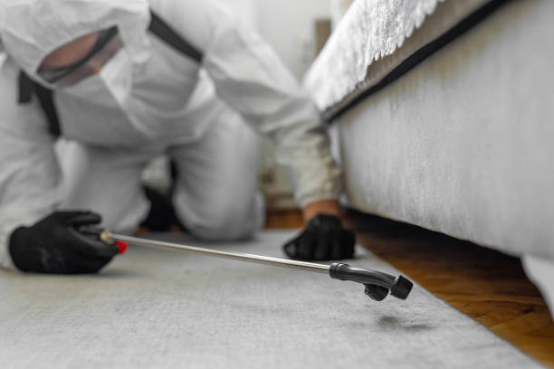 Professional Cockroach Control technician working in Pinconning, MI