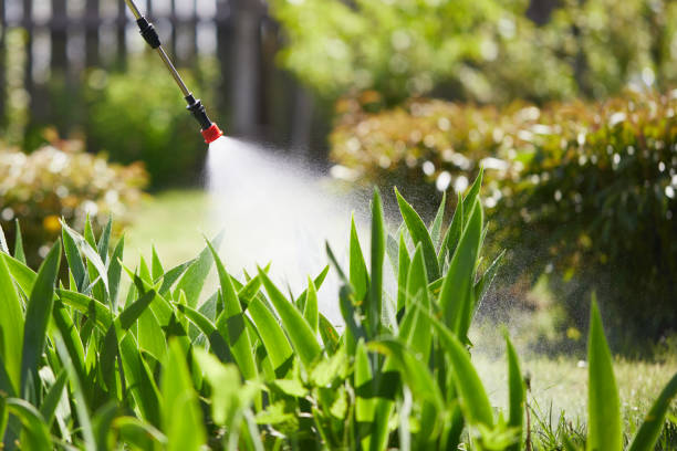 24/7 Emergency Cockroach Control experts in Pinconning, MI