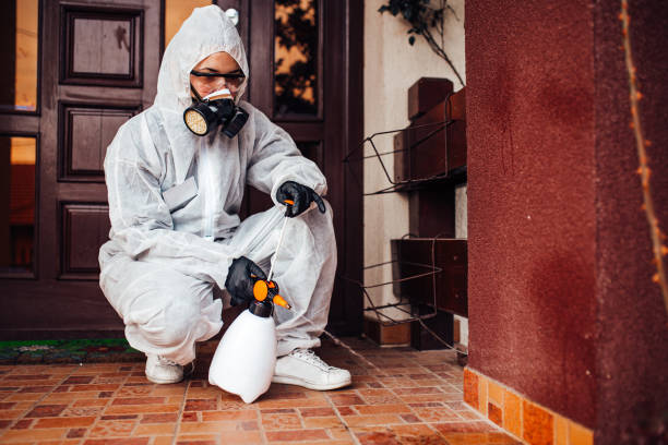 Reliable Cockroach Control contractor in Pinconning, MI by Nex Pest Control